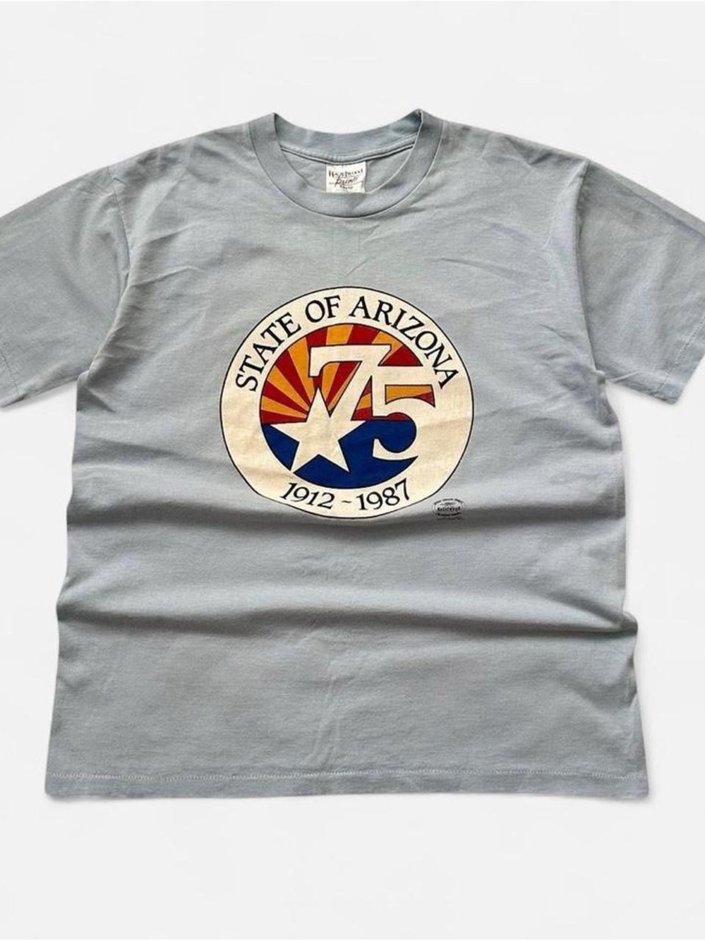 Vintage 1980s State of Arizona 75th Anniversary Graphic Tee - Light Blue L
